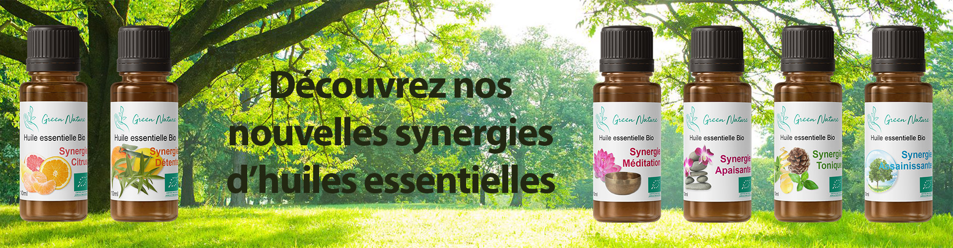 Accueil