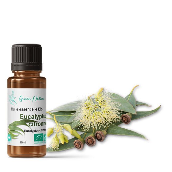 Huile essentielle Bio Eucalyptus Citronné