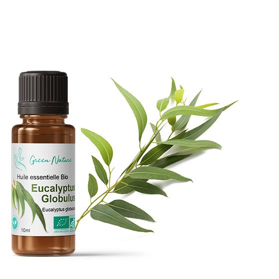 Huile essentielle Bio Eucalyptus Globulus