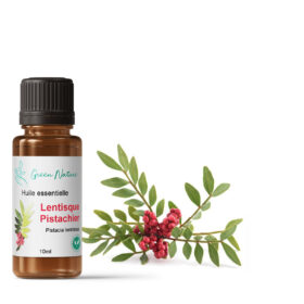 Lentisque Pistachier Bio