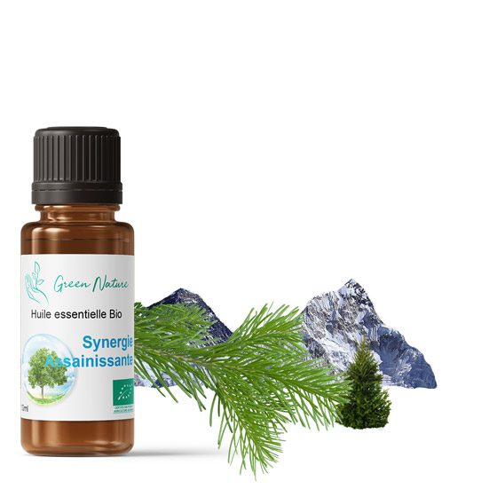 Synergie Bio Assainissante