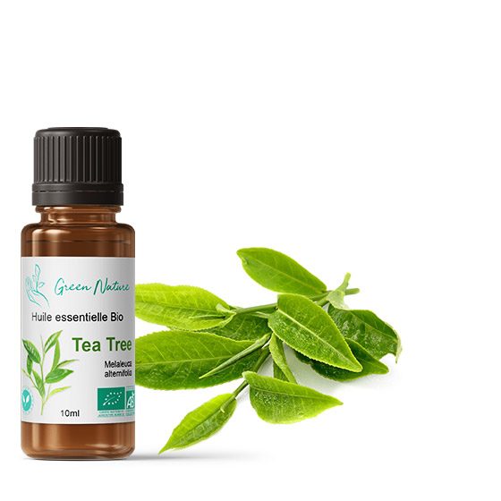 Huile essentielle Bio Tea Tree