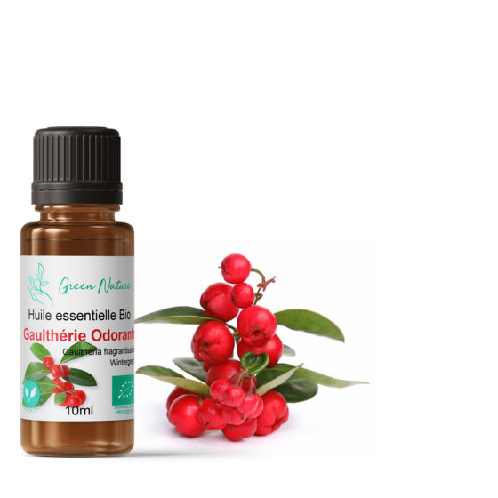 Huile essentielle Bio Gaulthérie Odorante