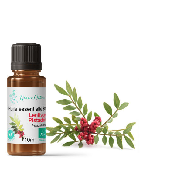 Lentisque Pistachier Bio