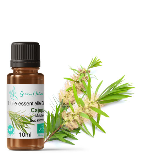 Huile essentielle Bio Cajeput