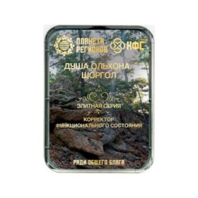 CEF Ame Olkhon Shorgol