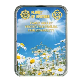 CEF Protecteur Familial
