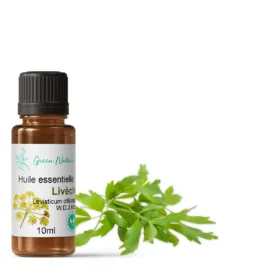 Huile essentielle de livèche