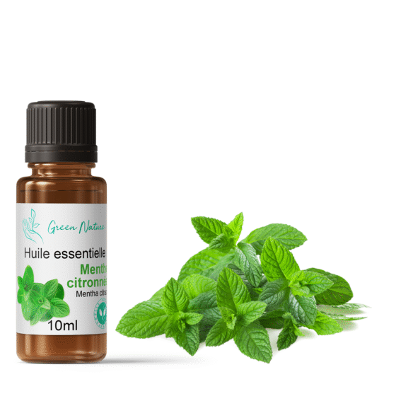 Huile essentielle Menthe citronnée