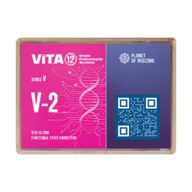 Vita V-2